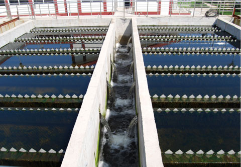 mg不朽情缘(中国)官方网站