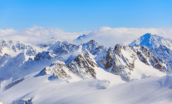 mg不朽情缘(中国)官方网站