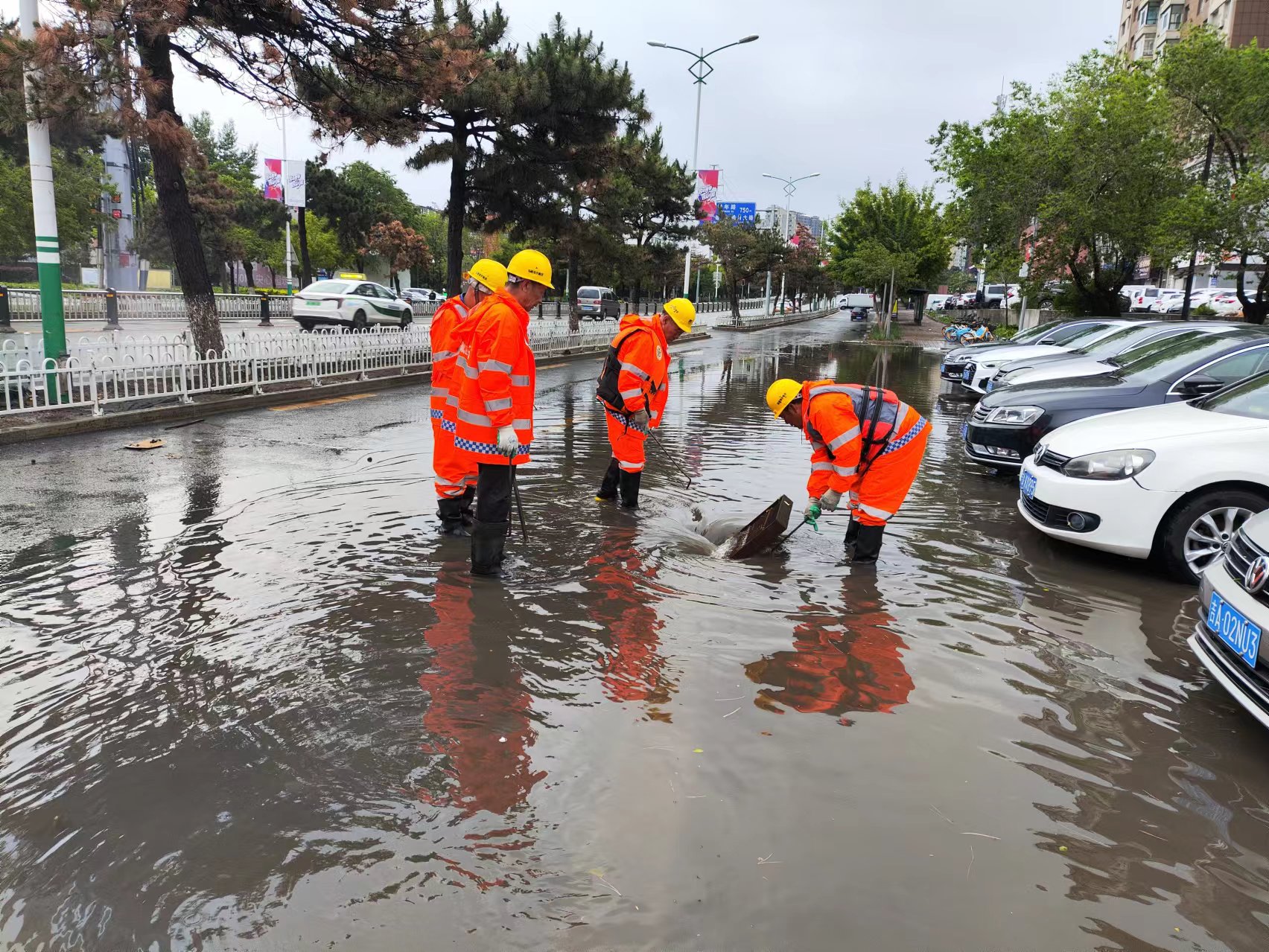 mg不朽情缘(中国)官方网站